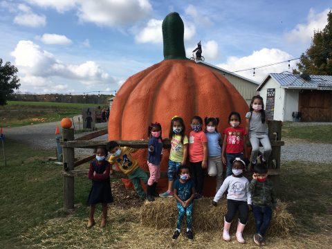Field trip to Tim's Pumpkin Patch
