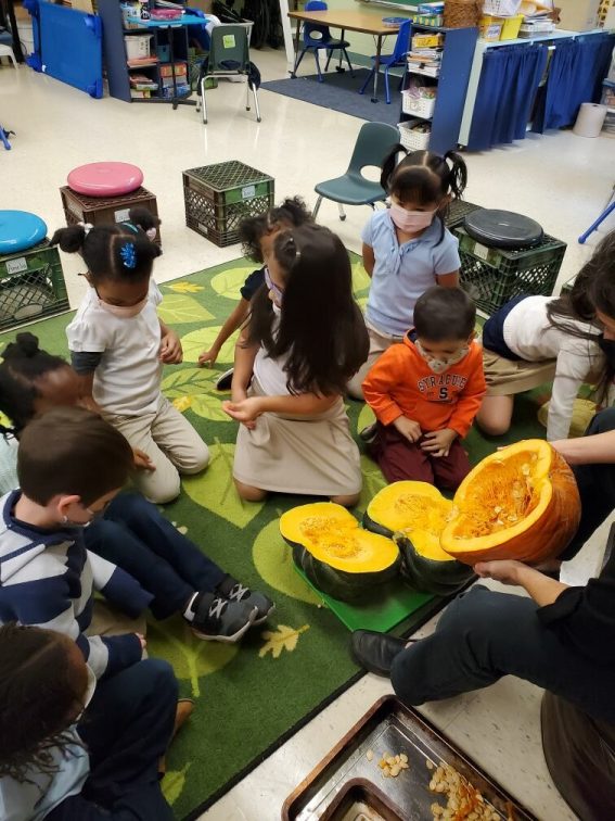 Sensory exploration with pumpkins and squash.