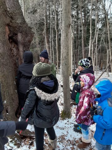 A winter field trip to local nature center, Beaver Lake.