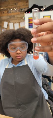 Extracting DNA from strawberries.